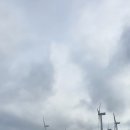 리얼골프투어 이미지