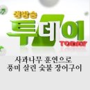 종로-종로-종로-종-323 티스토리