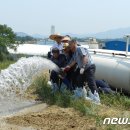 농협경제지주 종돈개량사업소 이미지