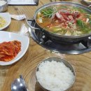 날마다좋은돼지