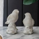 꼬떼따블 이미지