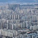 시청 건너 버스정류장 이미지