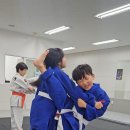 세종 나성 유도관 이미지