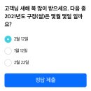 0101 리브메이트 오늘의 퀴즈 이미지