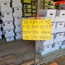 유신농장 | 수신메론구입후기 :: 유신농장(21,22,23,24,25년 가격추가)