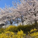 당진시 대덕1로2길 이미지