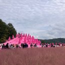 회현어린이집 | 京都：） 한 달 반 만에 다시 한국으로🇰🇷