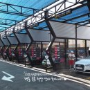 셀세모 이미지