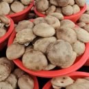 내리5일장 이미지