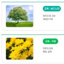 이산고등학교 | (일반고) 이산고등학교 2025 신입생 입학안내, 학교안내