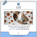 우아몽 네이버블로그