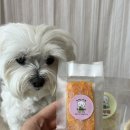 뽀야네 까까 이미지