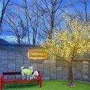 트리몰리 이미지