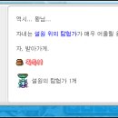 노보헤어 이미지