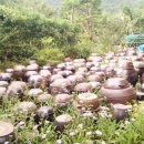 소산농장 이미지