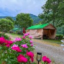 금강펜션 민박 이미지