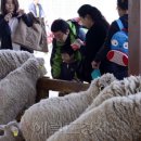 풍치축산 헤럴드경제
