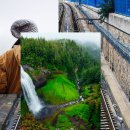 채경산업