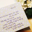 더 안도 이미지