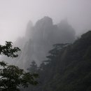 산그린 이미지