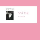 달의눈물