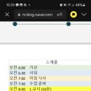 겨울방학 영어캠프 이정도면 저렴한편인가여? 이미지