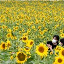 서울미래의원 이미지