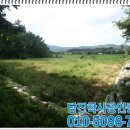 정미농협주유소