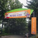 도그베이 수원 네이버블로그