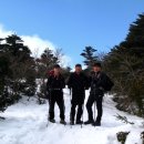 바다잔치 이미지