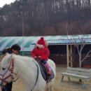 돌속농장 이미지