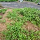 양지부동산중개 이미지