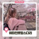 중앙카정비 | 국내 벚꽃 명소 진해 여좌천 로망스다리, 낮과 야경 포토존