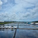 세광농원 이미지