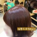 살롱드호란헤어