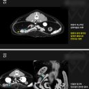 도곡 치유 동물병원 이미지