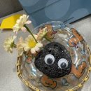 화산스쿼시