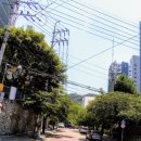 황소-유토피아 이미지