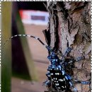 로뎀펜션하우스 이미지