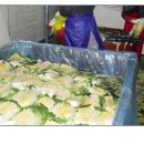 만호농장 이미지