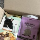 고위드테일 이미지