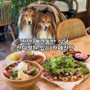 진안오토바이 | 진안 애견동반 식당 | 카페 진안, 넓은 잔디정원과 애견운동장이 있는 맛집