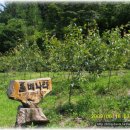 돌배농원 이미지