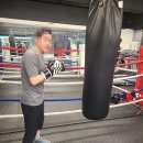 고잔복싱 이미지