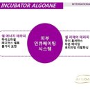 건강한피부샵