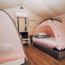 더포레스트 연지곤지점 이미지