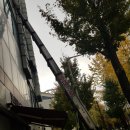 강촌로,일산로 이미지