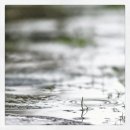 Kiss The Rain (비를 맞으며) / Yiruma 이미지