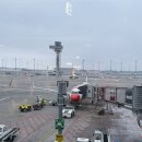 베를린성 | 베를린(BER) - 인천(ICN) 대한항공&amp;콘도르 이용 후기