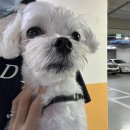 다호동물병원 이미지